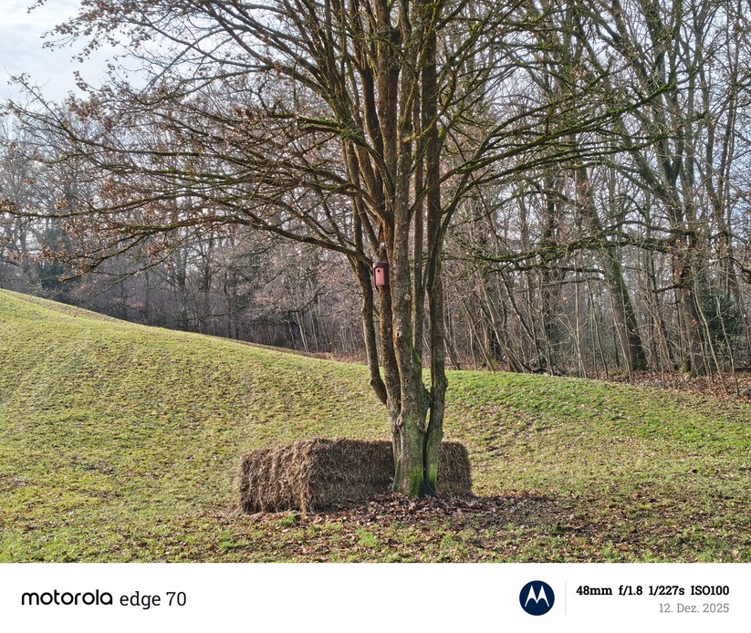 Motorola Edge 70 - Originalaufnahmen
