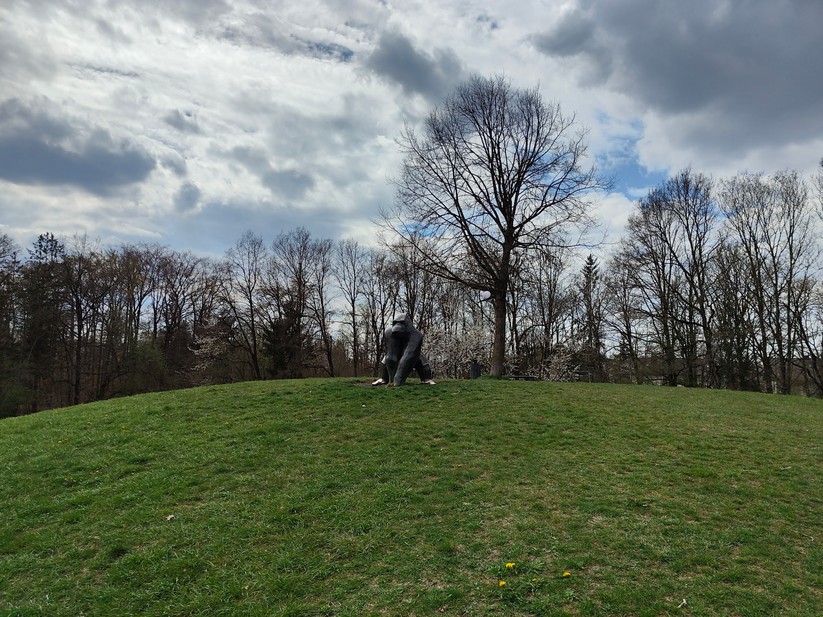 Realme GT 2 Pro - Originalaufnahmen 