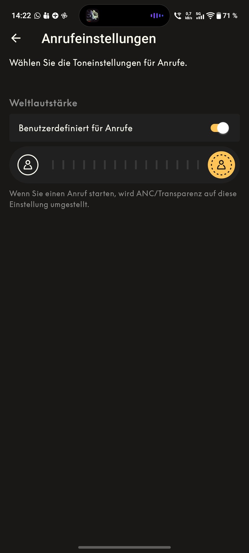 Bang & Olufsen Beoplay H100 Screenshot