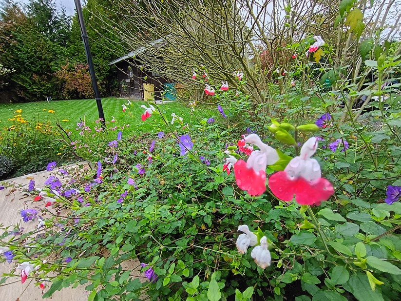 Motorola Moto G56 5G – Originalaufnahmen