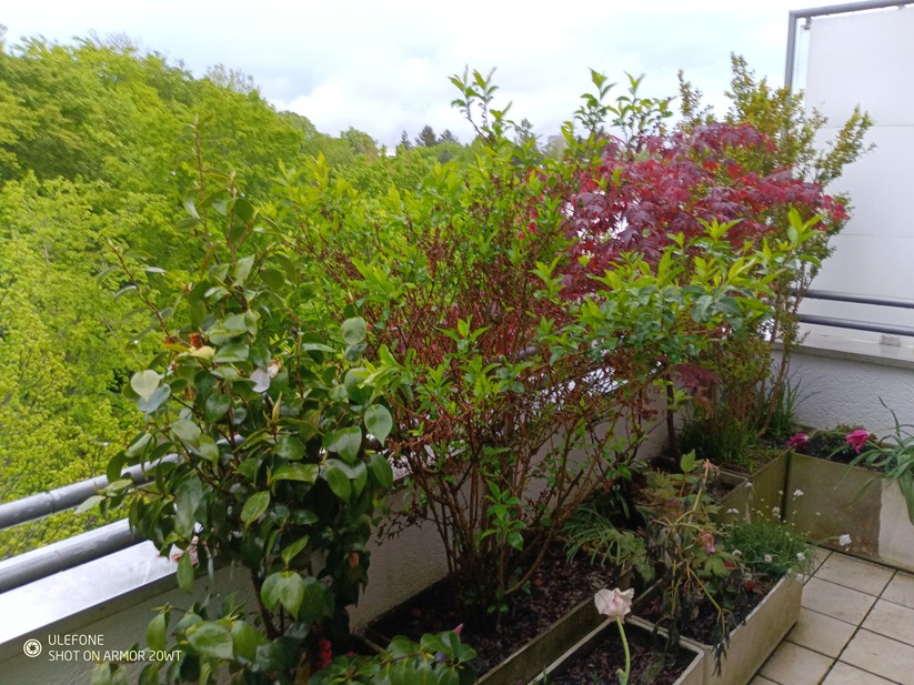 Ulfeone Armor 20WT - Originalaufnahmen