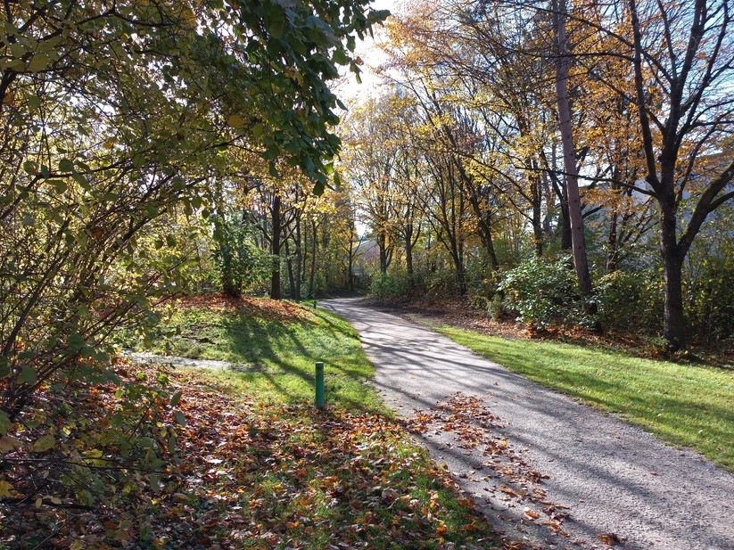 Oukitel WP60 - Originalaufnahmen