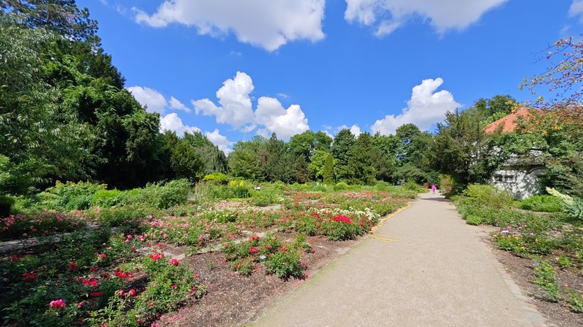 Redmagic 10 Air - Originalaufnahmen 