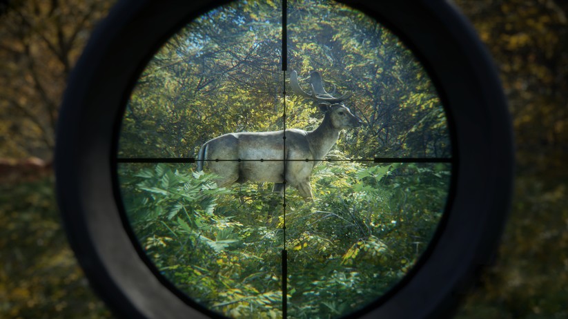theHunter