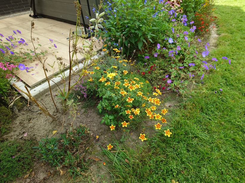 Sony Xperia 1 VII - Originalaufnahmen 