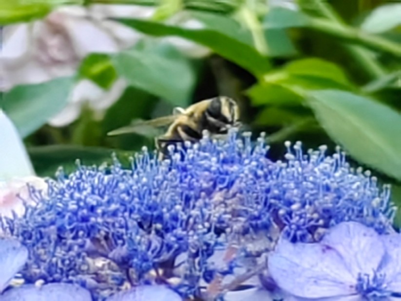 Huawei Mate Xs 2