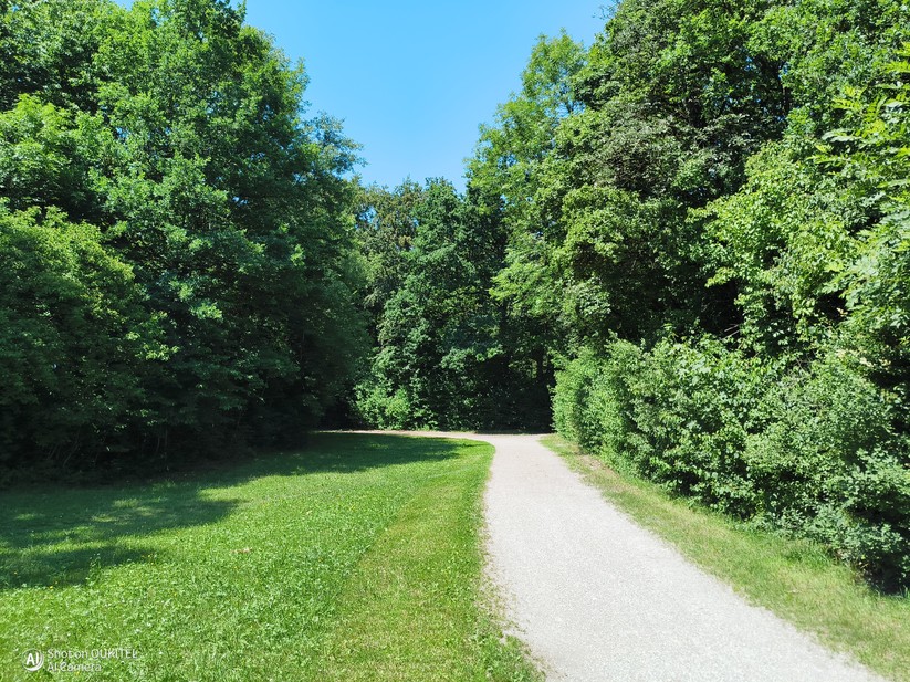  Hauptkamera