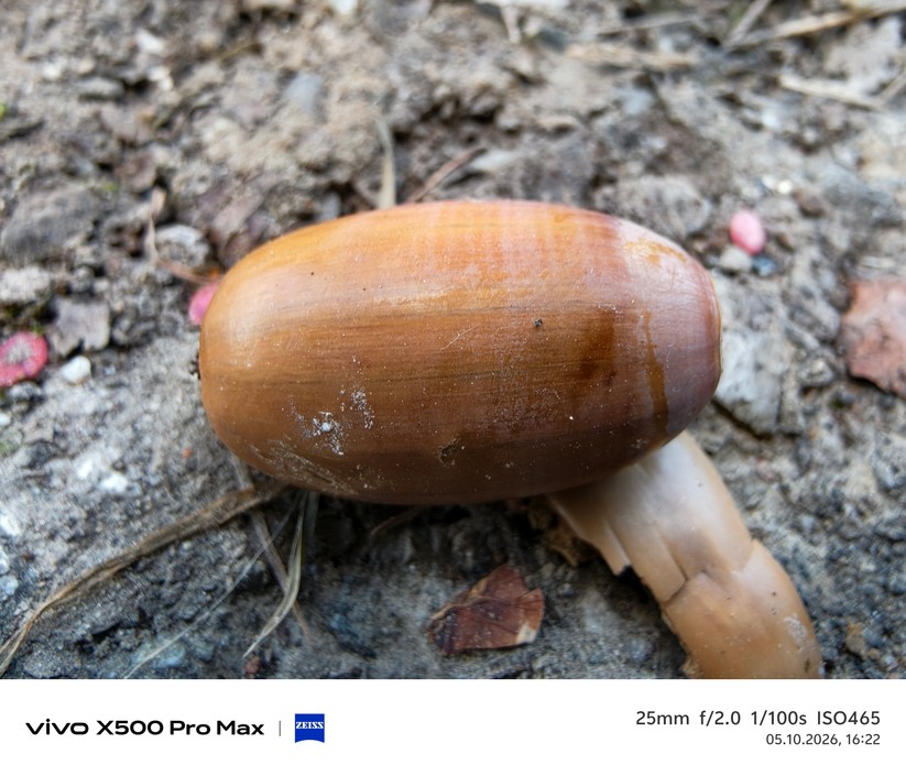Vivo X500 Pro Max Fotos
