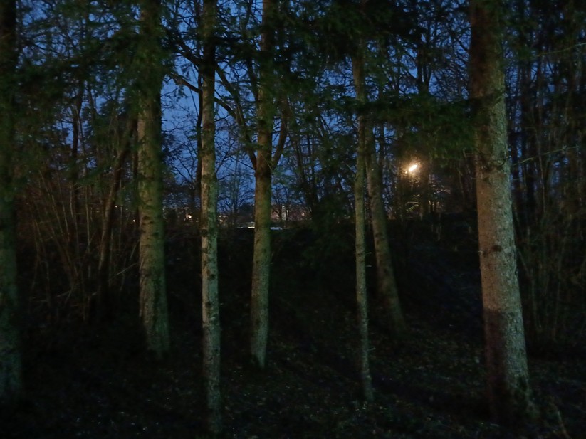 Samsung Galaxy Xcover 7 - Originalaufnahmen 