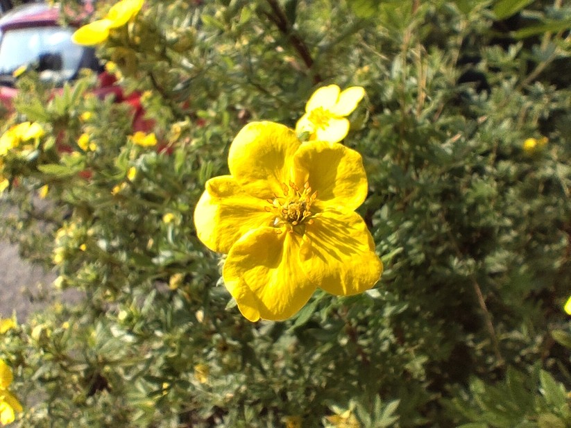 T Phone 2 Pro - Originalaufnahmen