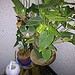 Testfoto geschossen mit einem Sony Xperia P | BestBoyZ 