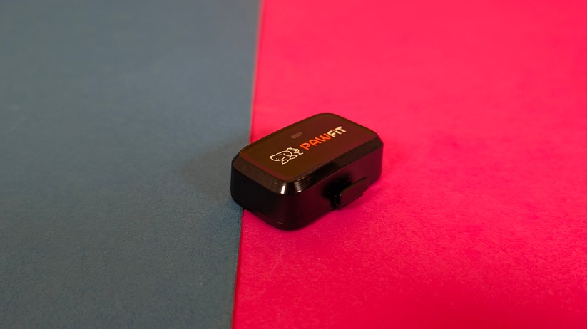 Pawfit Lite – Bilderstrecke