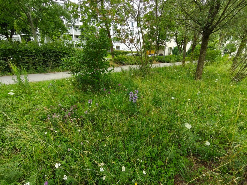 Xiaomi Poco F7 - Originalaufnahmen 