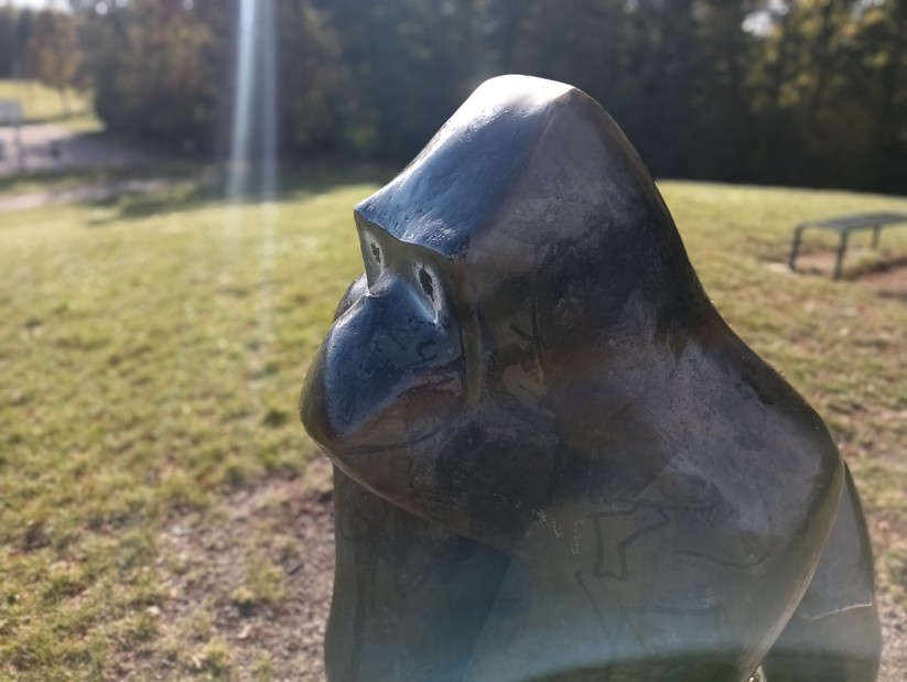 Cat S75 - Originalaufnahmen