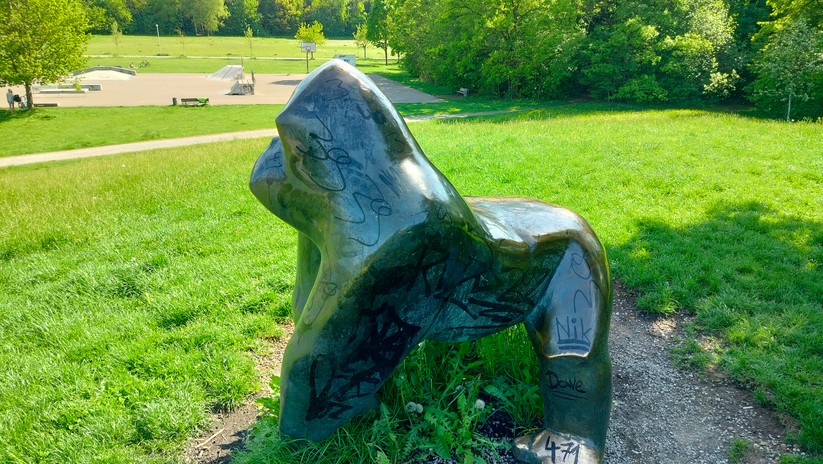 Realme 9 - Originalaufnahmen 