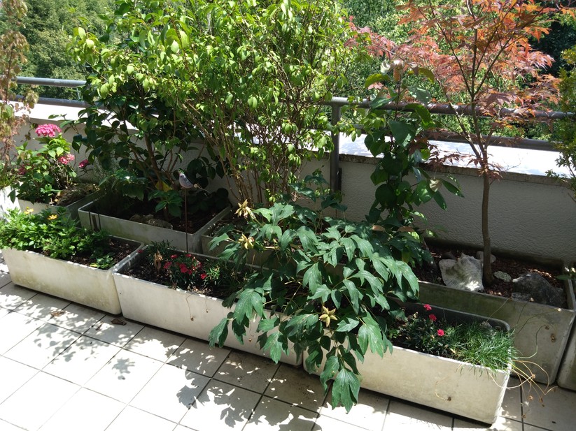 Sony Xperia 10 IV - Originalaufnahmen 