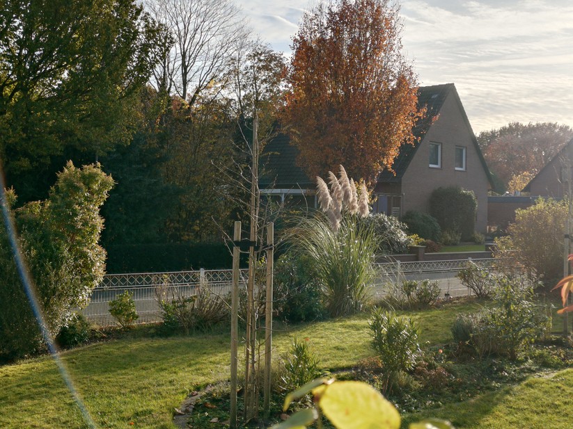 Sony Xperia 10 VII - Originalaufnahmen