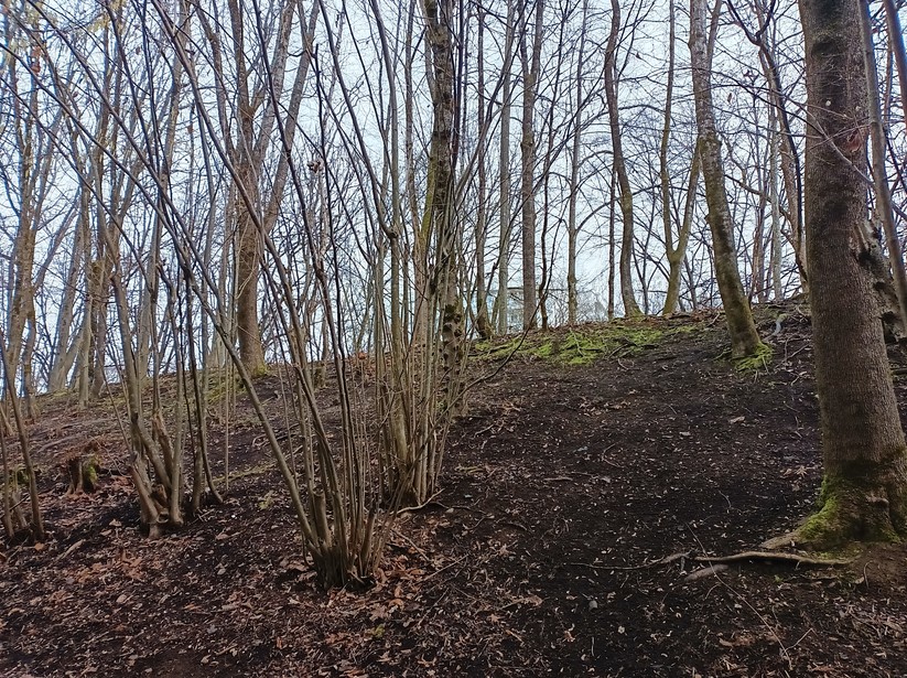 Gigaset GX4 - Originalaufnahmen