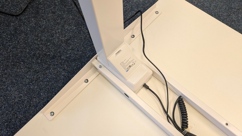 Assmann Y-Line