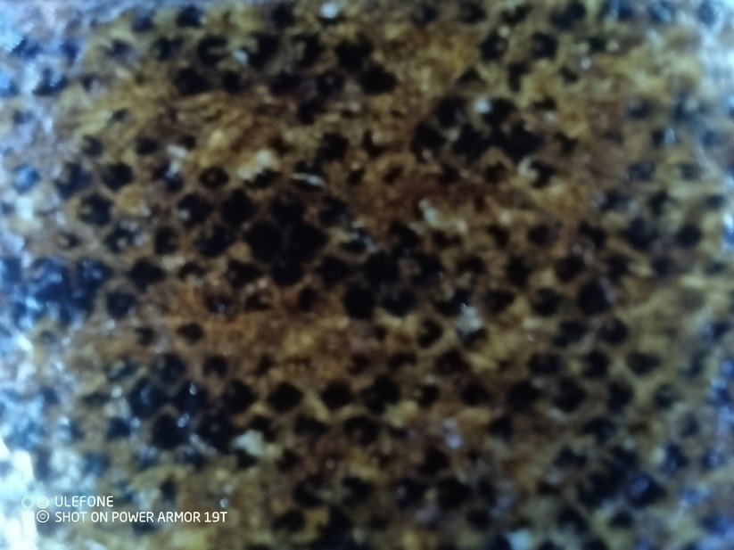 Ulefone Power Armor 19T - Originalaufnahmen