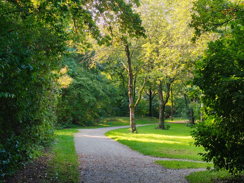 Realme 14 Pro+ 5G - Originalaufnahmen