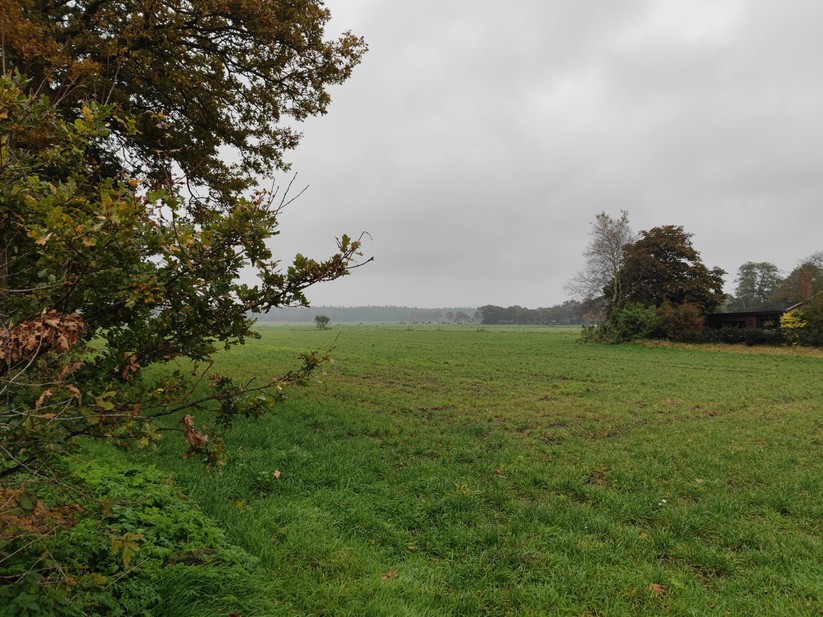 Außenaufnahme Smartphone D