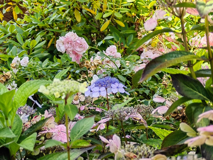 Huawei Mate Xs 2