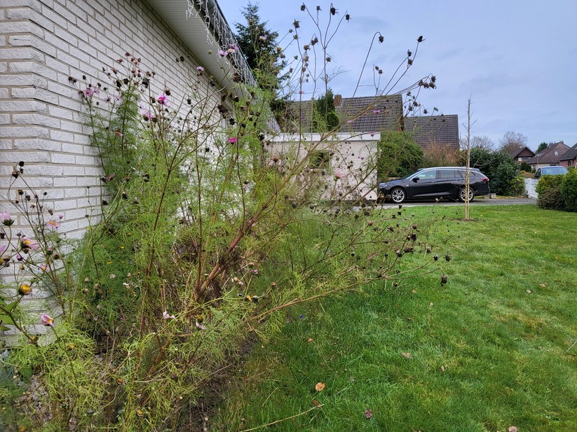 Samsung Galaxy Z Flip 3 5G