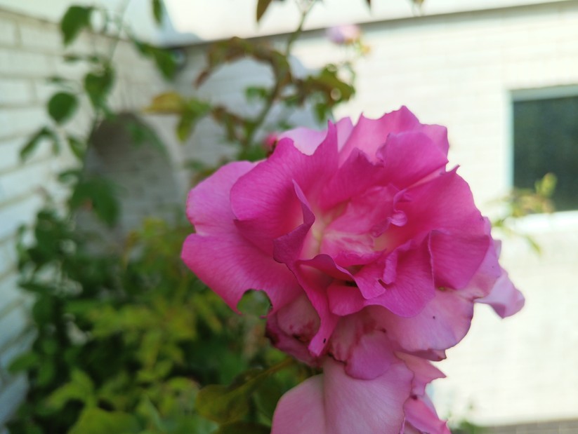 Blackview BV8200 - Originalaufnahmen