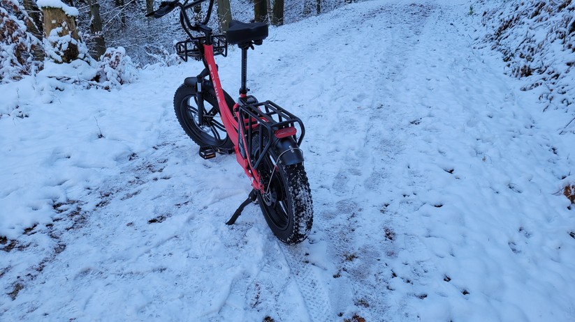  E-Bike mit Tiefeinstieg und Fat Tyres