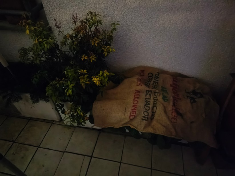 Xiaomi 15T - Originalaufnahmen