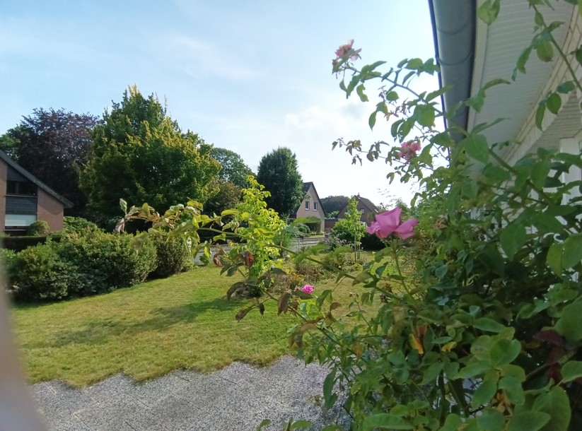 Blackview BV8200 - Originalaufnahmen