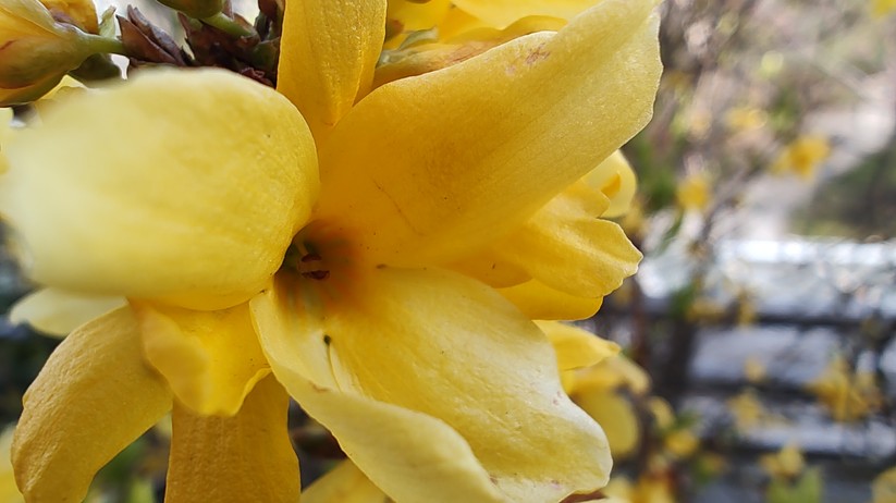 Motorola Edge 30 Pro - Originalaufnahmen