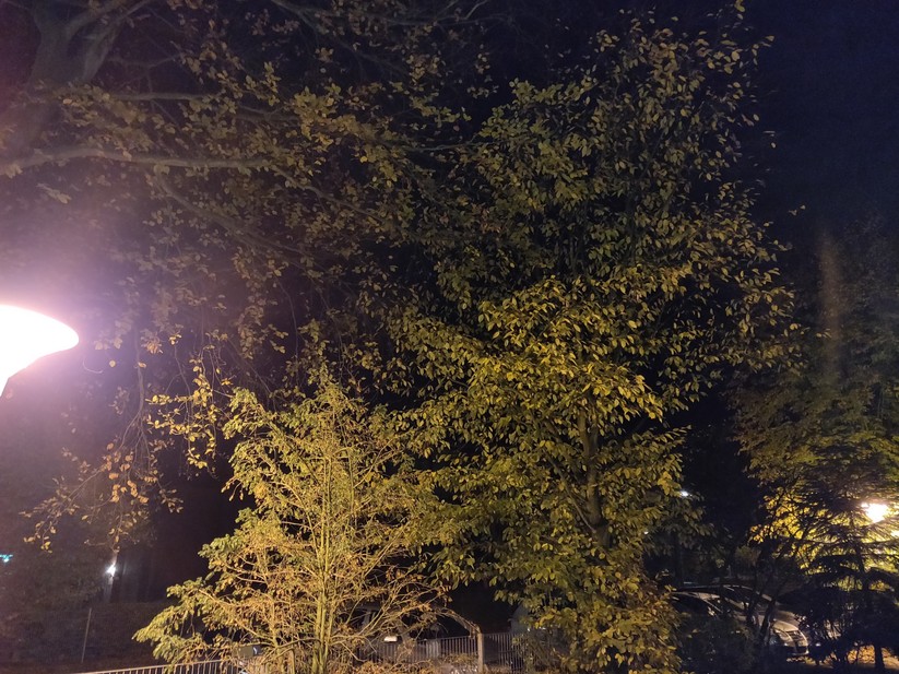 Aufnahme bei Nacht und Laternenlicht