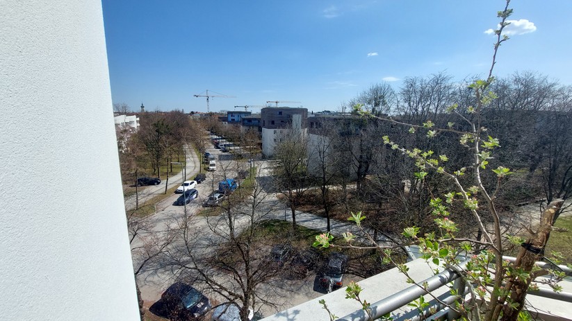 Mit dem Samsung Galaxy A52 geschossene Fotos