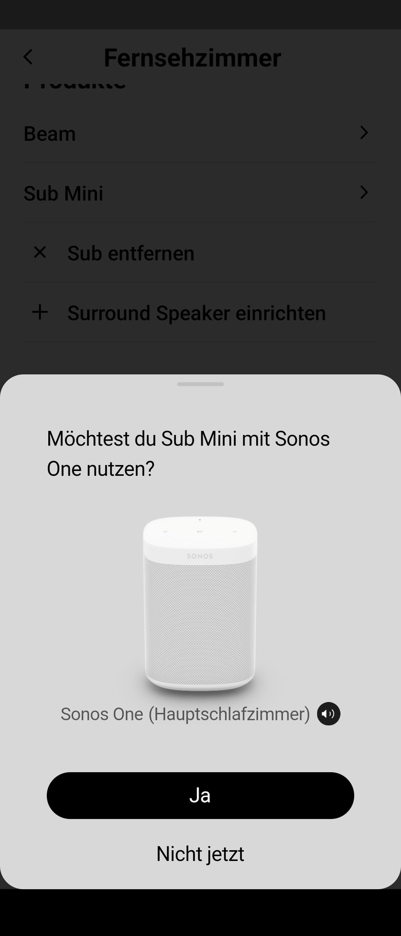 Sonos Sub Mini Screenshot