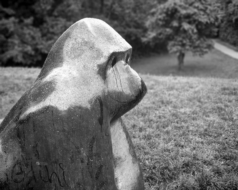 Honor 400 - Originalaufnahmen