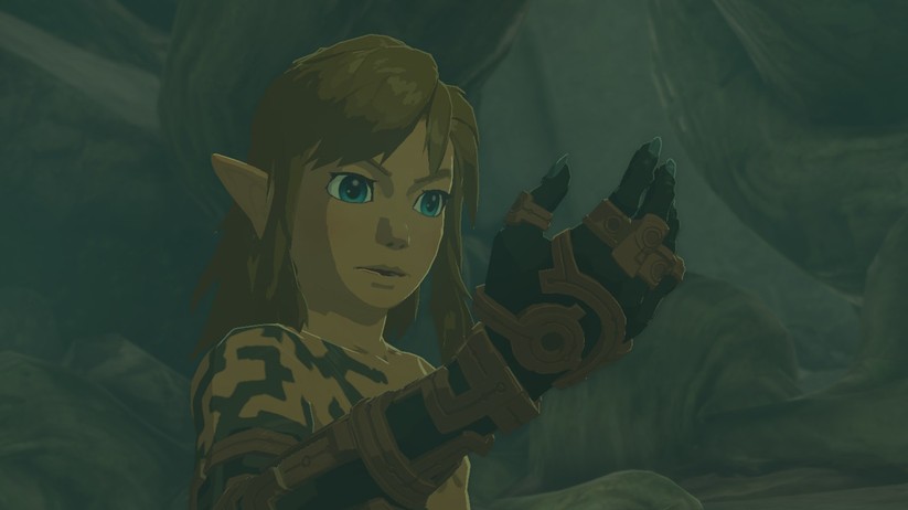  Tears of the Kingdom (Switch)