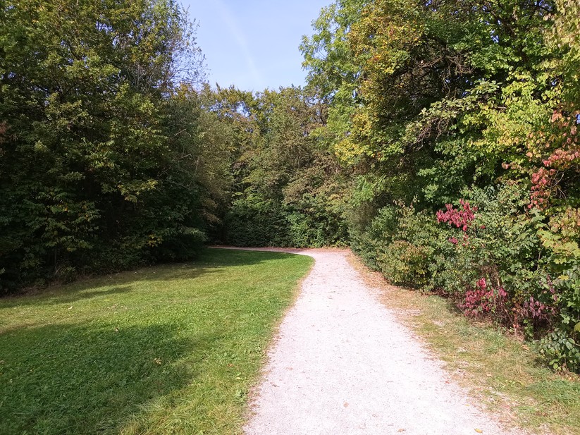 Doogee V31GT - Originalaufnahmen 