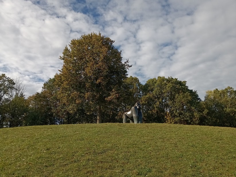 Cat S75 - Originalaufnahmen