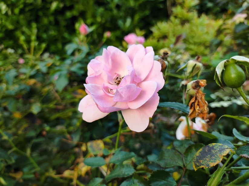 Xiaomi Poco F5