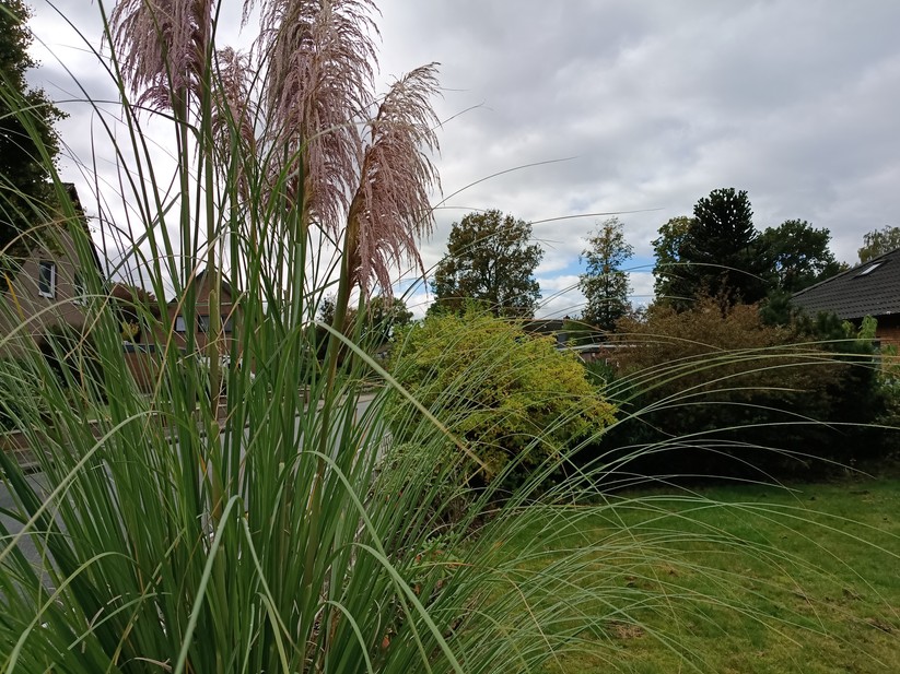 Motorola Moto G56 5G – Originalaufnahmen