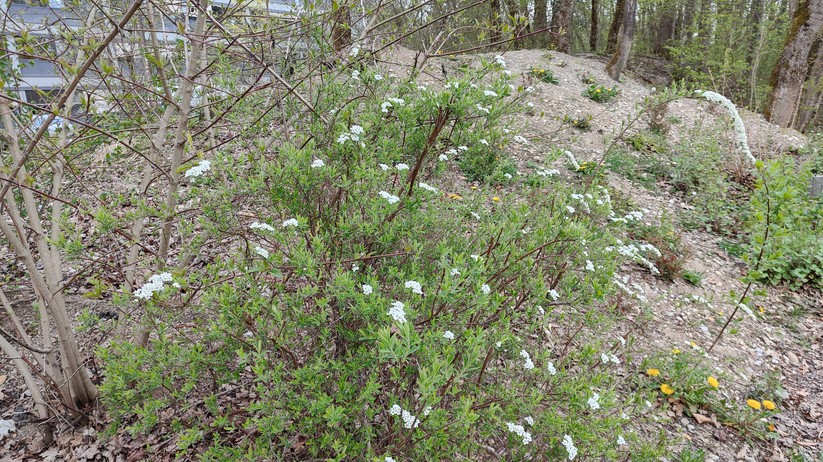 Realme GT 2 Pro - Originalaufnahmen 