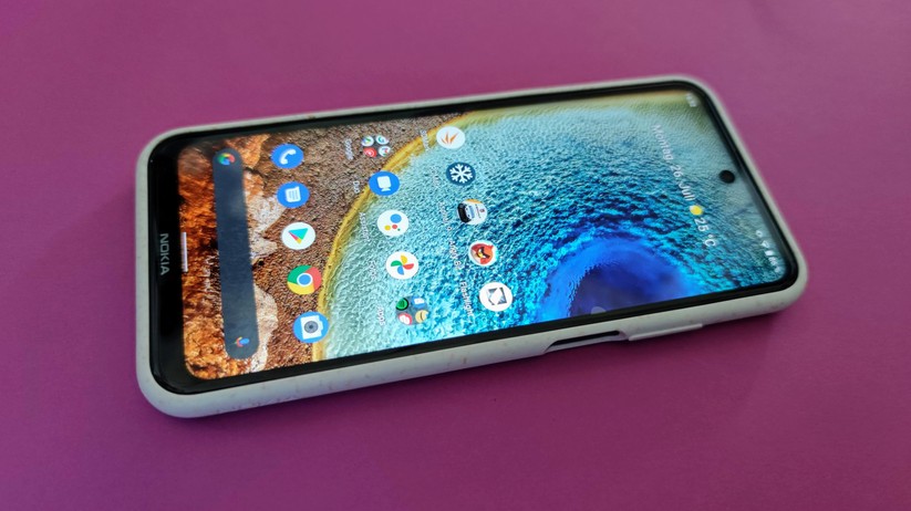 Nokia X10