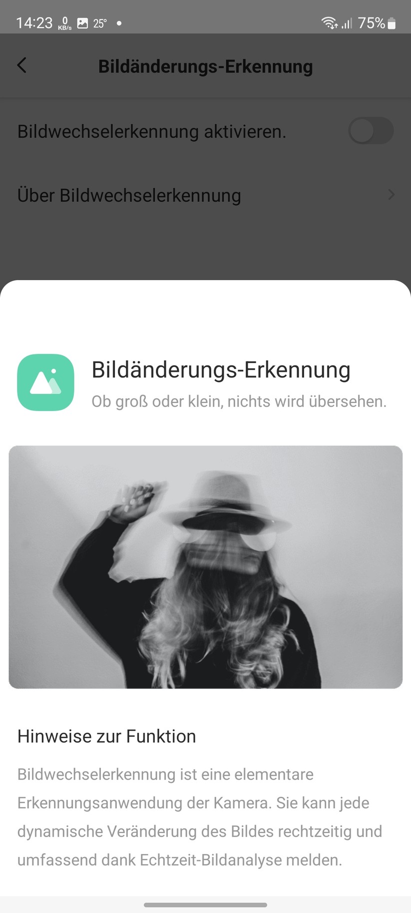 Ezviz C6 2K+: Einstellungen