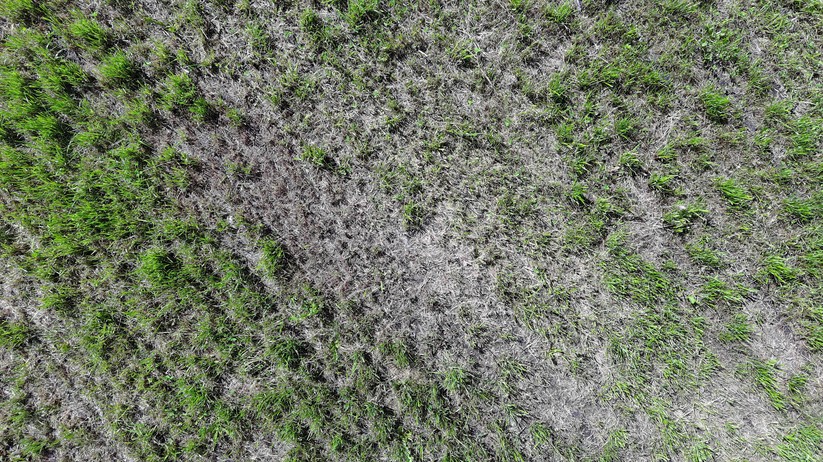 Autel Evo Nano Plus - Beispielfoto