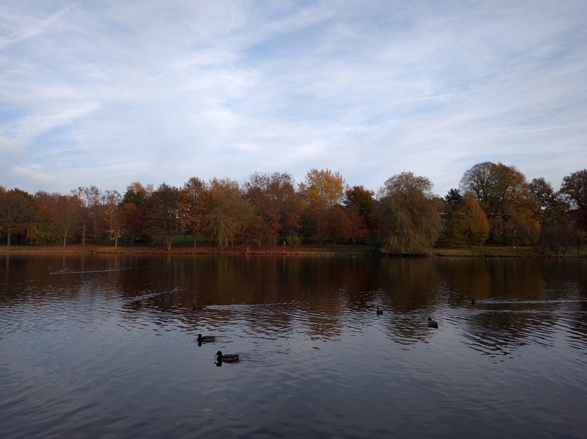 Google Nexus 5X (back light)