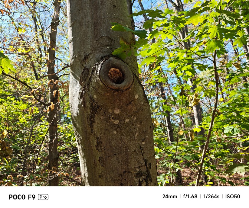 Xiaomi Poco F9 Pro: Hauptkamera