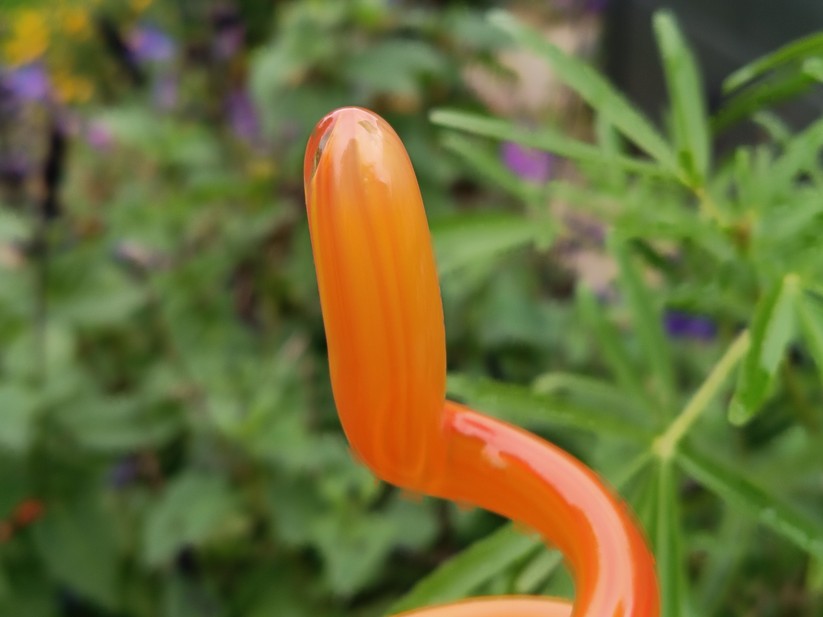 Motorola Moto G56 5G – Originalaufnahmen