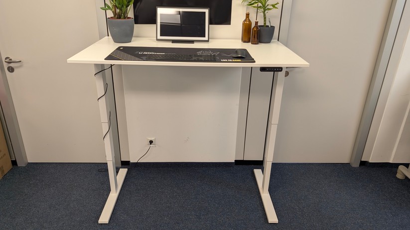 Assmann Y-Line